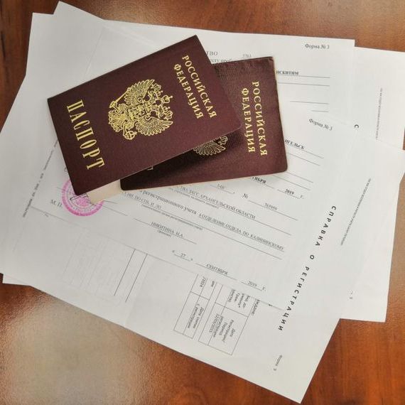 прописка в Нелидово